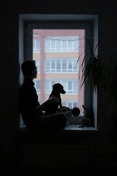 Frau und Hund am Fenster in Quarantäne — Stockfoto
