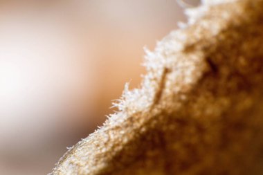 zanaat eski kağıt makro resim iplikler