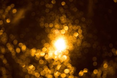 kış kar hava ormanda ağaç dalı sokak lambası ışığında ile