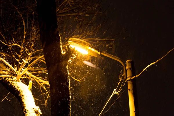 Invierno nieve tiempo en el bosque con rama de árbol a la luz de farola —  Fotos de Stock