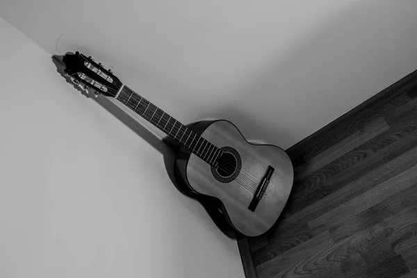 Guitarra clásica en placa de madera y fondo blanco aislado Fotos de stock