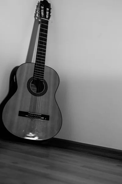 木板と分離の白い背景にクラシック ギター ストック写真