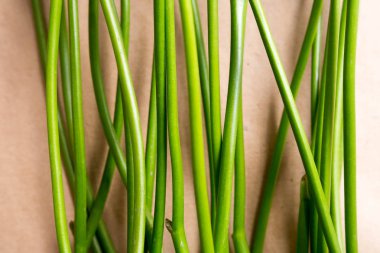 Bahar çiçek gibi doğanın yeşil çizgiler takip ediyor.