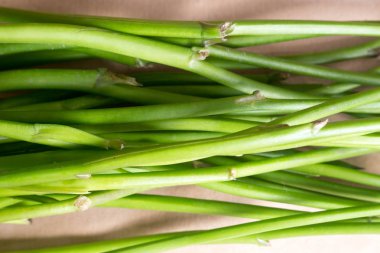 Bahar çiçek gibi doğanın yeşil çizgiler takip ediyor.