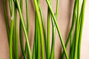 Bahar çiçek gibi doğanın yeşil çizgiler takip ediyor.