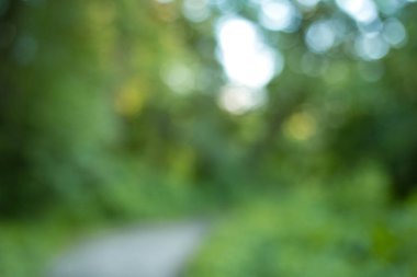 Soyut Doğa Parkı bokeh backgorund güneş etkileri ile