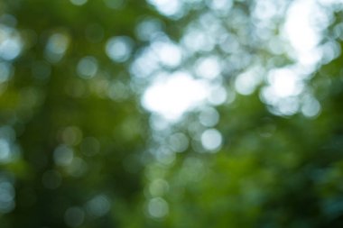 Soyut Doğa Parkı bokeh backgorund güneş etkileri ile