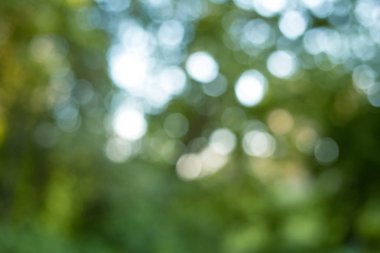 Soyut Doğa Parkı bokeh backgorund güneş etkileri ile