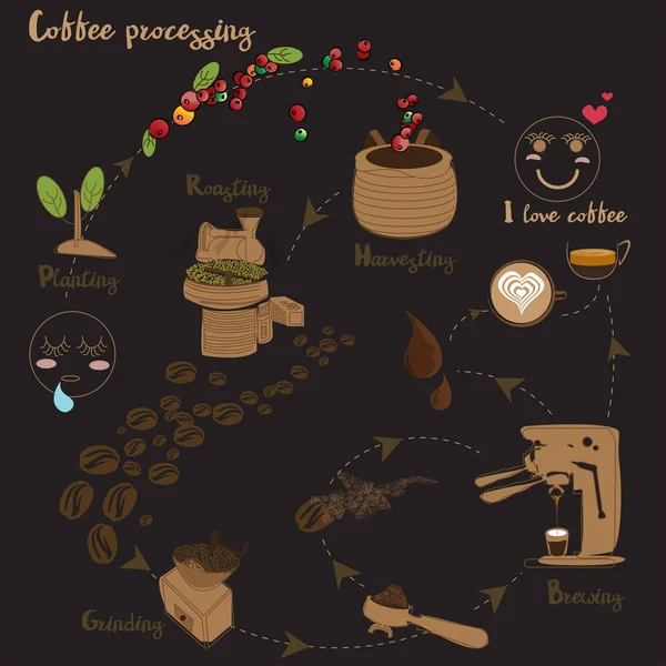 Vector de processamento de café —  Vetores de Stock