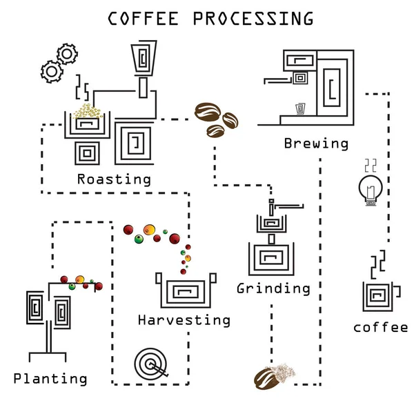 Procesamiento de café paso a paso — Vector de stock