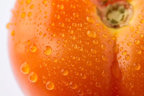 Tomate con gotas de agua —  Fotos de Stock