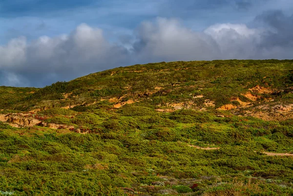 Colline verte et ciel bleu — Photo