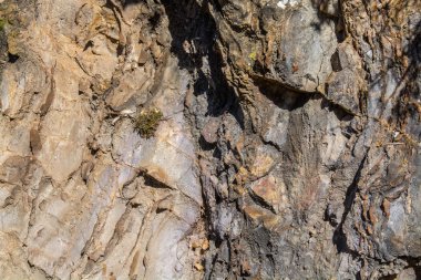 küçük bir kaya oluşumu