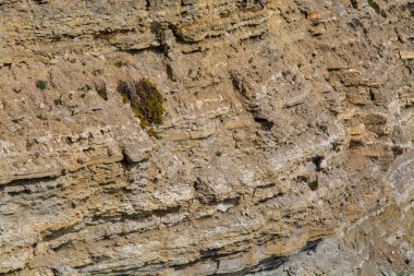 küçük bir kaya oluşumu