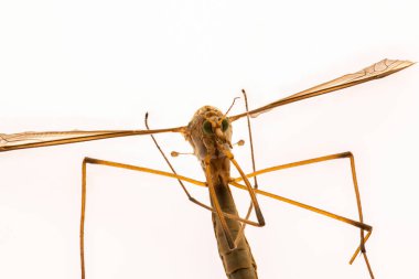 metal barlar yapısı