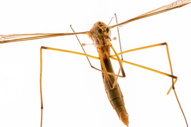 metal barlar yapısı