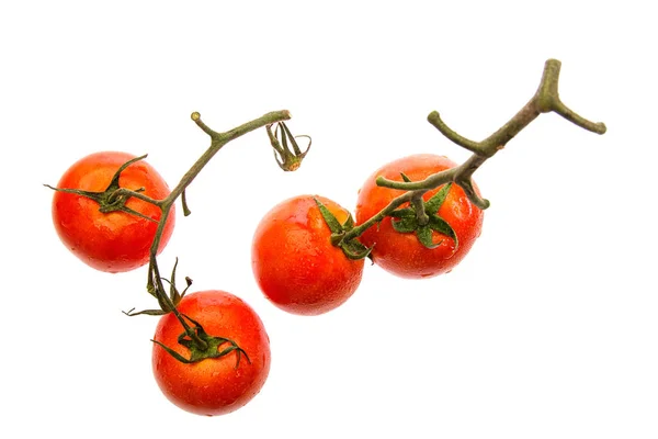 Чотири барвисті червоні помідори — стокове фото