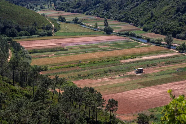 Fields in Ericeira Portugal. — Stock Photo, Image