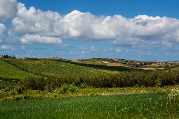 Landbouw velden in Torres Vedras, Portugal. — Stockfoto
