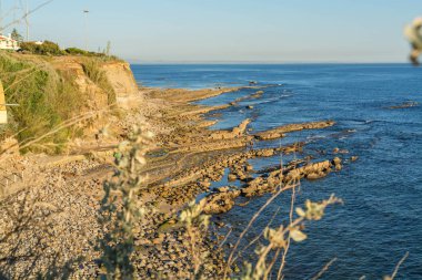 bafureira plaj Estoril, Portekiz.
