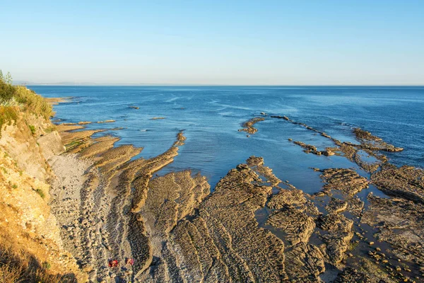 Avencas in Parede, Portugal. — 스톡 사진