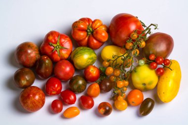 kutusu diferent domates ile