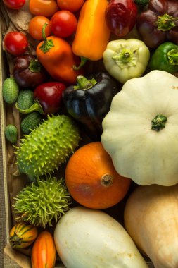 farklı sebze bileşimi