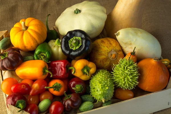 Zusammensetzung der verschiedenen Gemüsesorten — Stockfoto