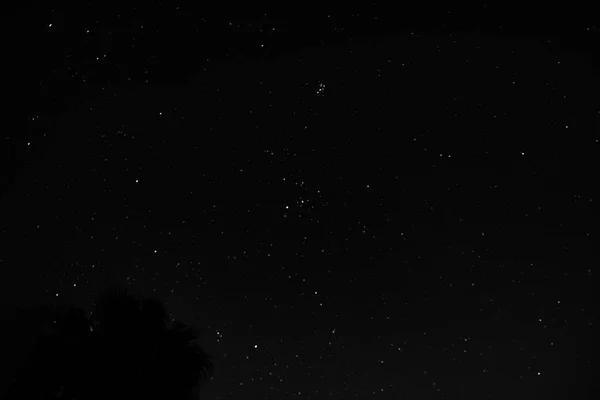Ciel nocturne plein d'étoiles — Photo