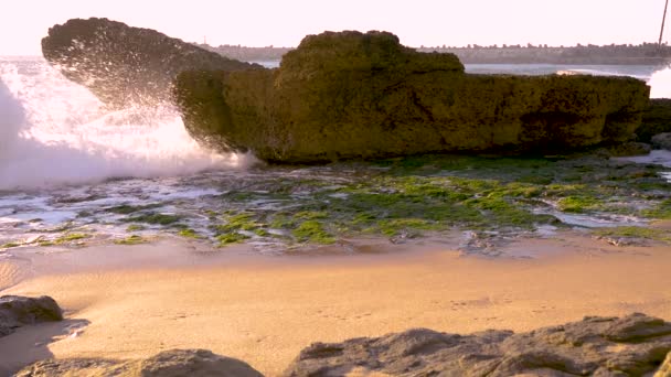 Vista Playa Pescadores Ericeira Pueblo Ericeira Portugal — Vídeo de stock