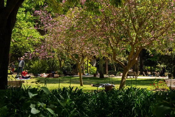 Lisboa Portugal Mayo 2018 Vista Del Jardín Estrela Lisboa Lisboa —  Fotos de Stock