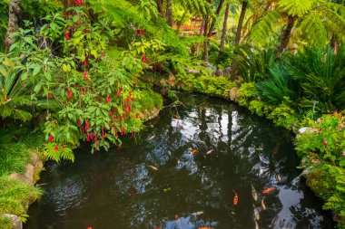 Madeira Adası 'ndaki Monte Sarayı Bahçeleri