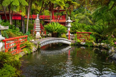 Madeira Adası 'ndaki Monte Sarayı Bahçeleri