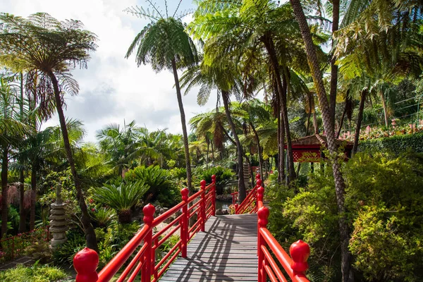 Monte palacio jardines en la isla de Madeira —  Fotos de Stock