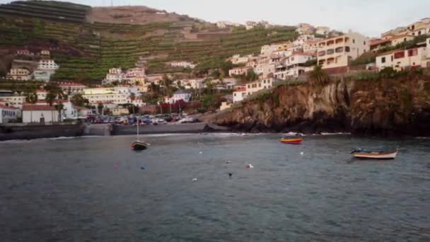 ポルトガル マデイラ島でカマラ ロボス — ストック動画
