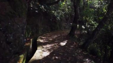 Portekiz, Madeira Adası 'nda Balcoes levada.