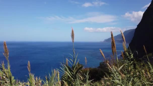 Vista Dell Isola Madeira Portogallo — Video Stock