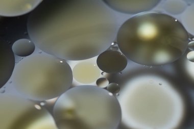 circular forms in water