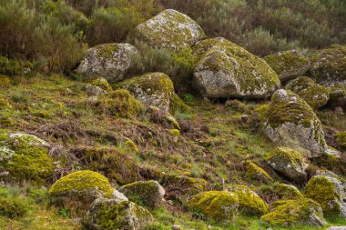Serra da Estrela Portekiz