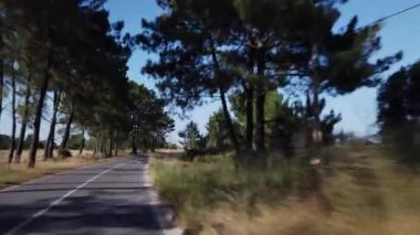 Tipik Carrasqueira iskelesi Alentejo Portekiz 'deki Sado nehrinde. 