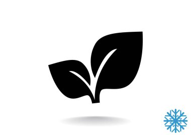 Yaprakları basit organik kavramı 