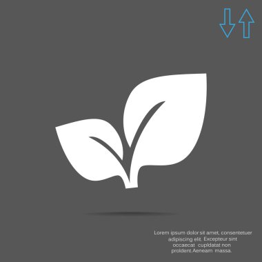 Yaprakları basit organik kavramı 