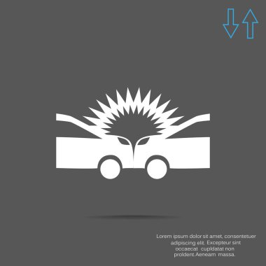 Otomatik kaza web simgesi