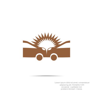 Otomatik kaza web simgesi