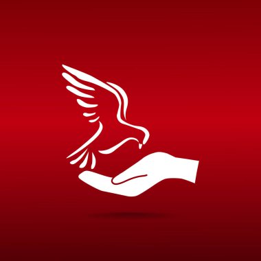 Güvercin, web simgesi. vektör tasarımı 