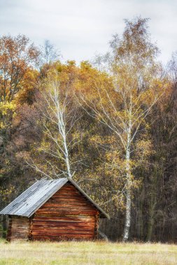 Sonbahar etnik Müzesi Pirogovo