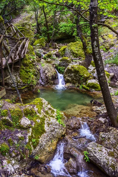 El Valle de las Mariposas, isla de Rodas, Grecia —  Fotos de Stock