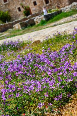 Eski şehir Rethimno, Crete Yunanistan