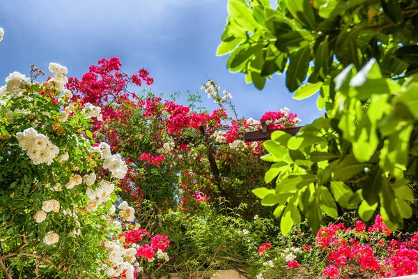 Chania eski şehir, Crete ada Yunan mimarisinde