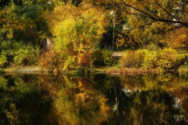 Kiev, Ukrayna parlak sonbahar